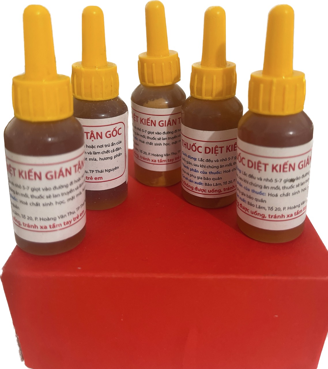 Thuốc diệt kiến, gián, chai diệt kiến tận gốc