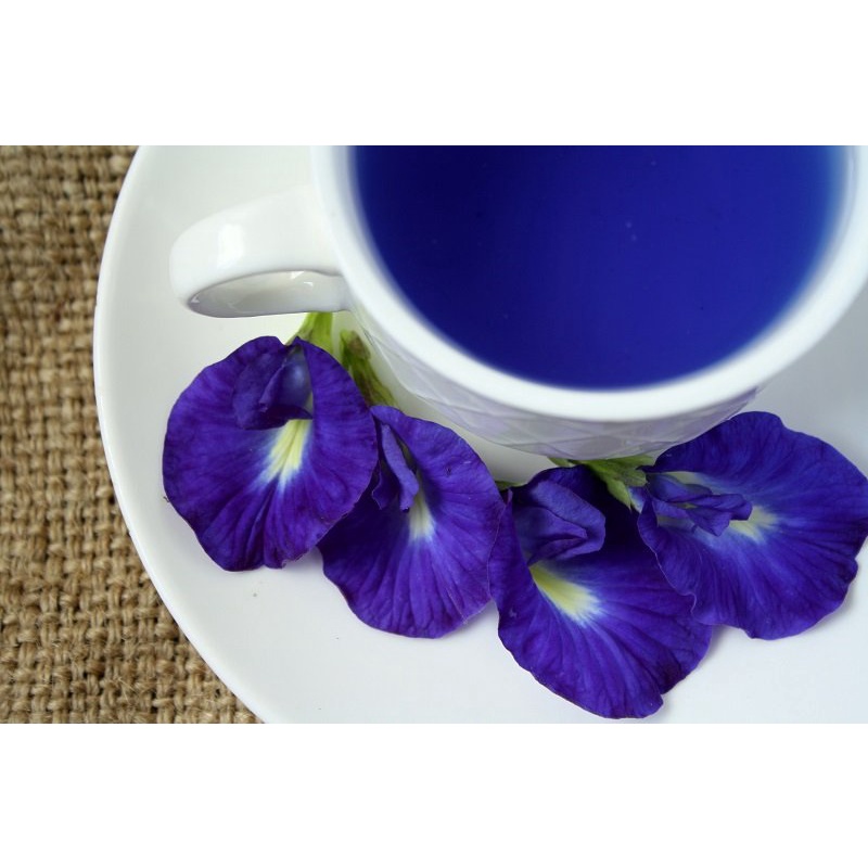 Hạt giống hoa Đậu biếc TN