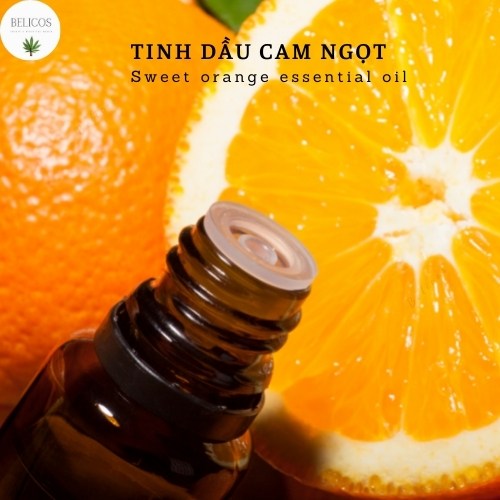 Tinh dầu Cam Ngọt nguyên chất Ấn Độ