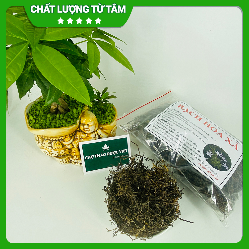 100gr Bạch Hoa Xà (Khô, Thơm, Sạch)