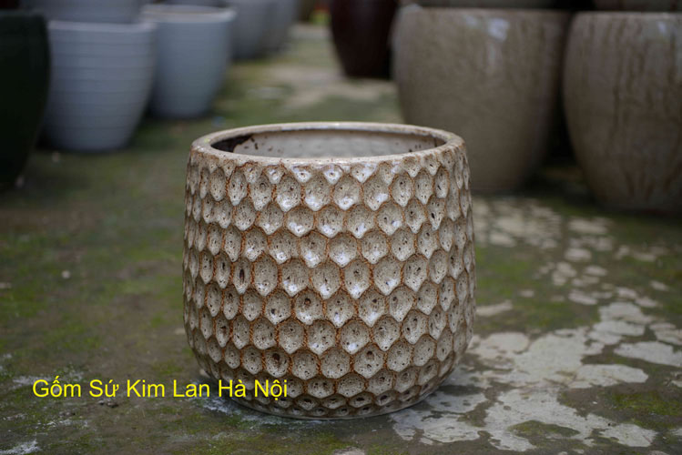 orchid flower pots