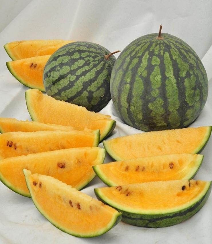 Hạt Giống Dưa Hấu Ruột Vàng
