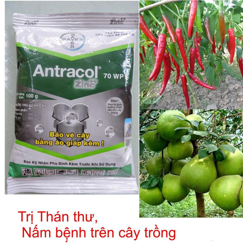 Antracol 100gram trừ nấm bệnh cây trồng