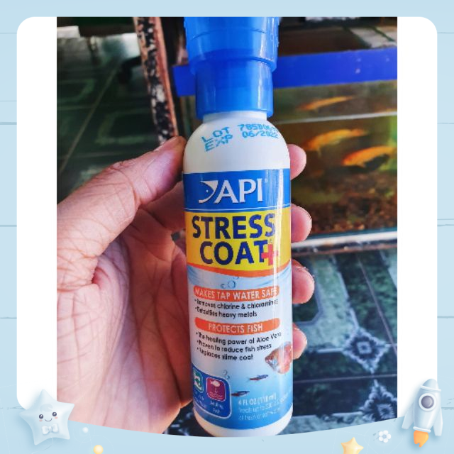 [HCM]API STRESS COAT - DÀNH CHO CÁ CẢNH (Hàng Công Ty) 473ML TẶNG 100GR ĐÁ NHAM THẠCH