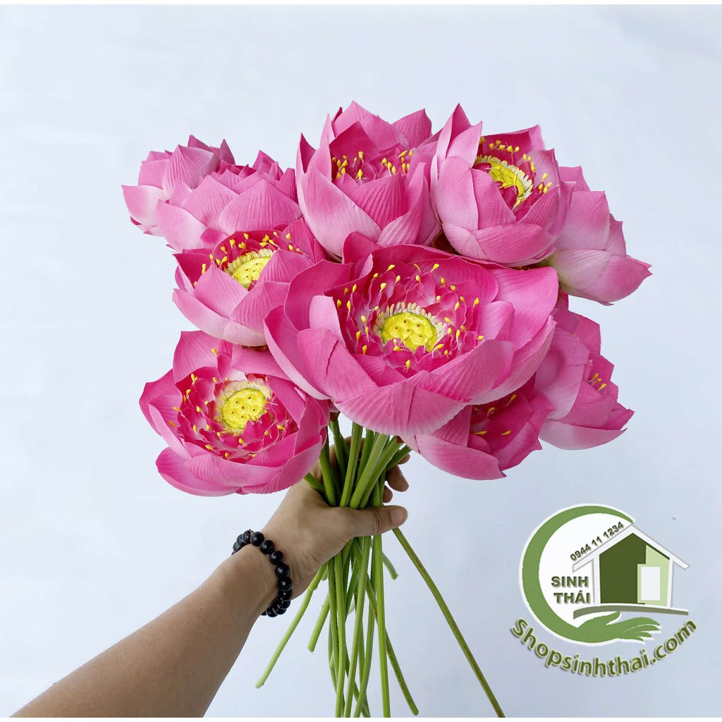 Cành hoa sen bông nở - sen vải lụa Thái Lan cao cấp