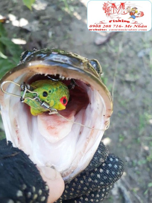 Nháy Hơi Hunter V5 Mồi Lure Lóc Thái Lan