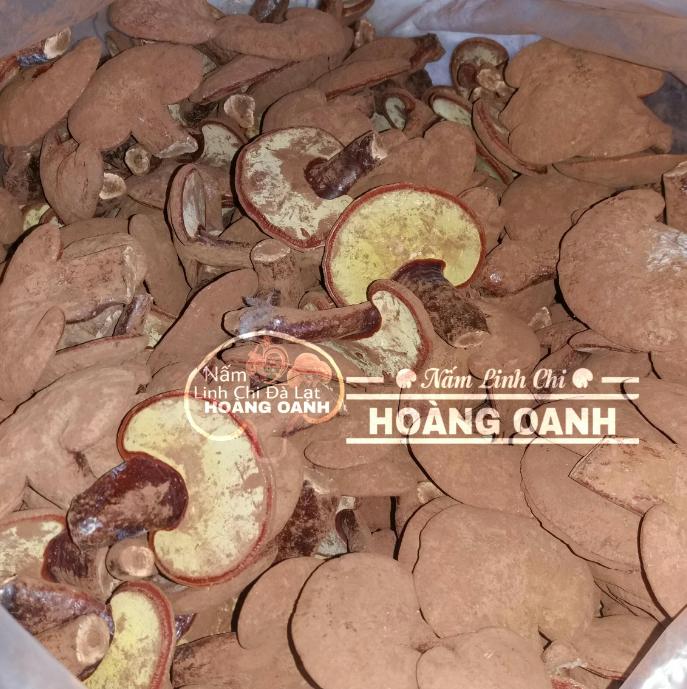 1kg Nấm Linh Chi - Hồng Chi Đà Lạt