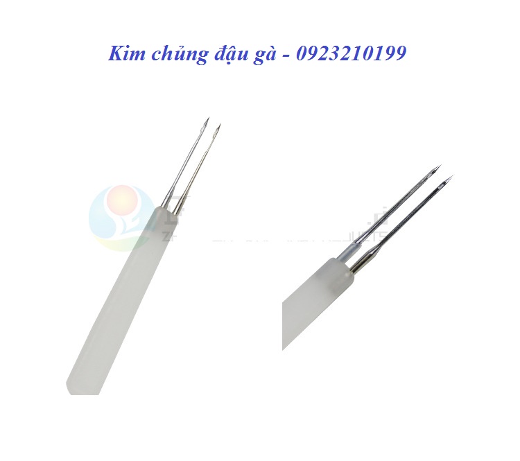 Kim chủng đậu gà 100 chiếc
