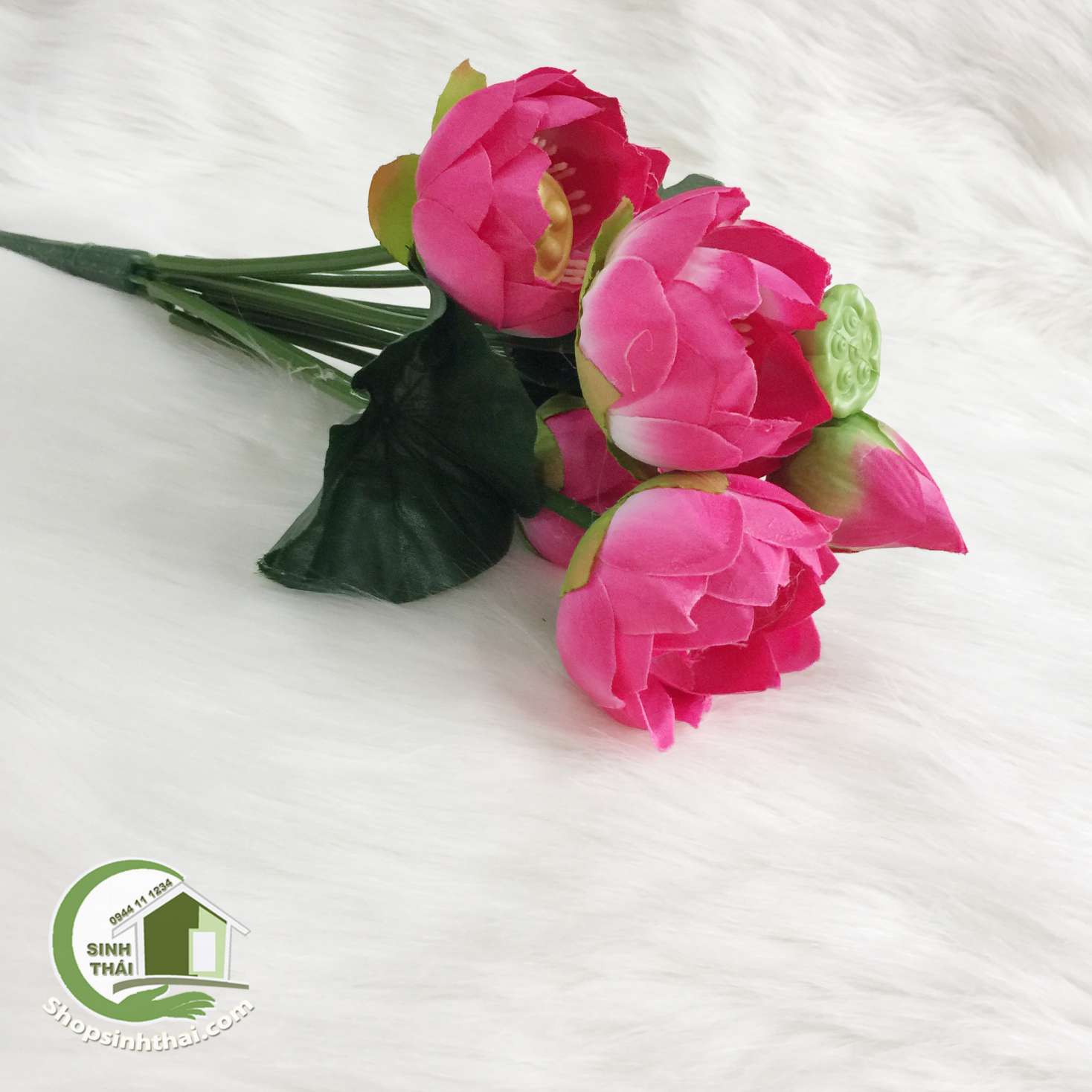 [HCM]Hoa Sen Giả - bụi sen nhỏ