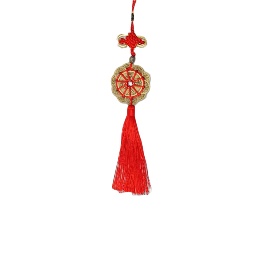[Hot] Tiền Mai Hoa 10 Cánh Rời -Mai Hoa Thập Toàn Treo Xe Oto  206230