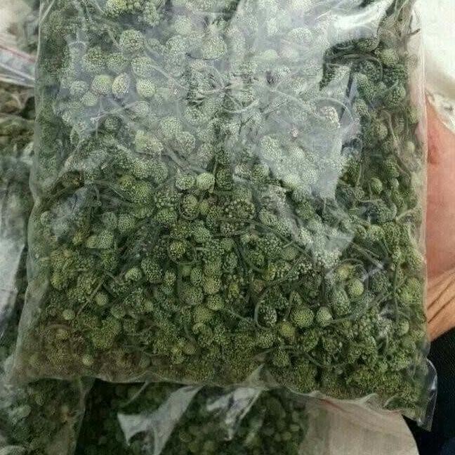 500g nụ hoa tam thất