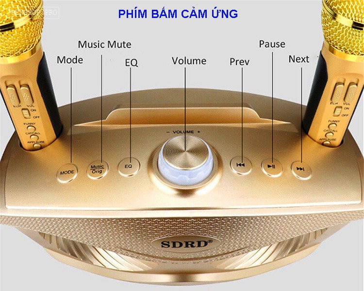 Loa Bluetooth karaoke kèm 2 míc SDRD-306/SDRD 306 Plus công suất 30w