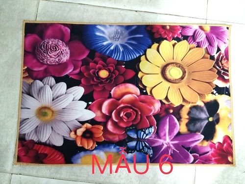 Thảm Lau Chân In Hình 3D ,RẺ ,BỀN ,ĐẸP