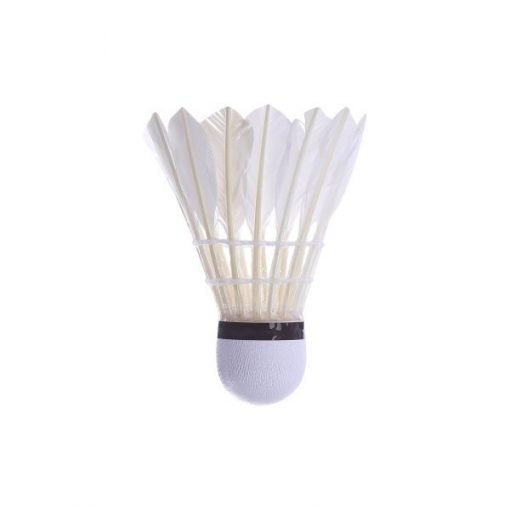 [HCM]Hộp 3 quả cầu lông AAA