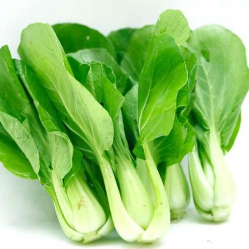Gói 20g hạt giống cải thìa cao sản - Nanuseeds