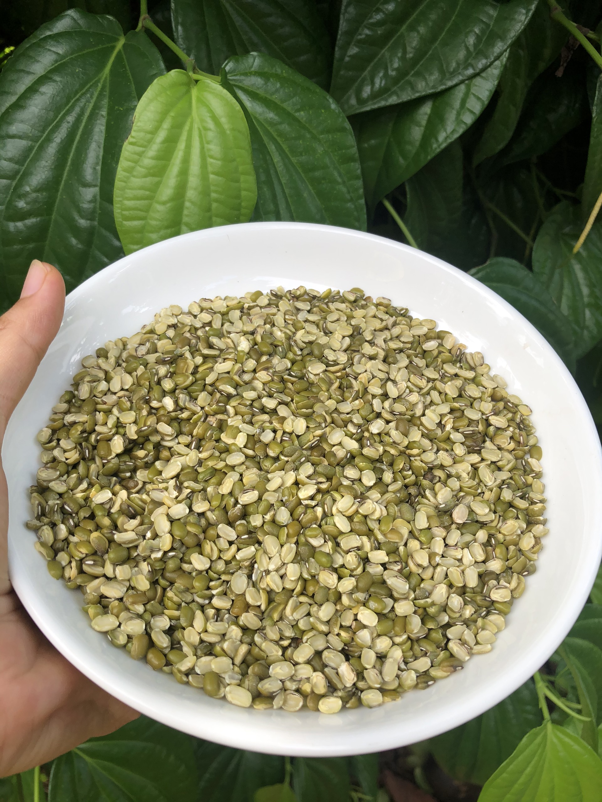Đậu xanh Cà nửa, cà Còn Vỏ 500gr