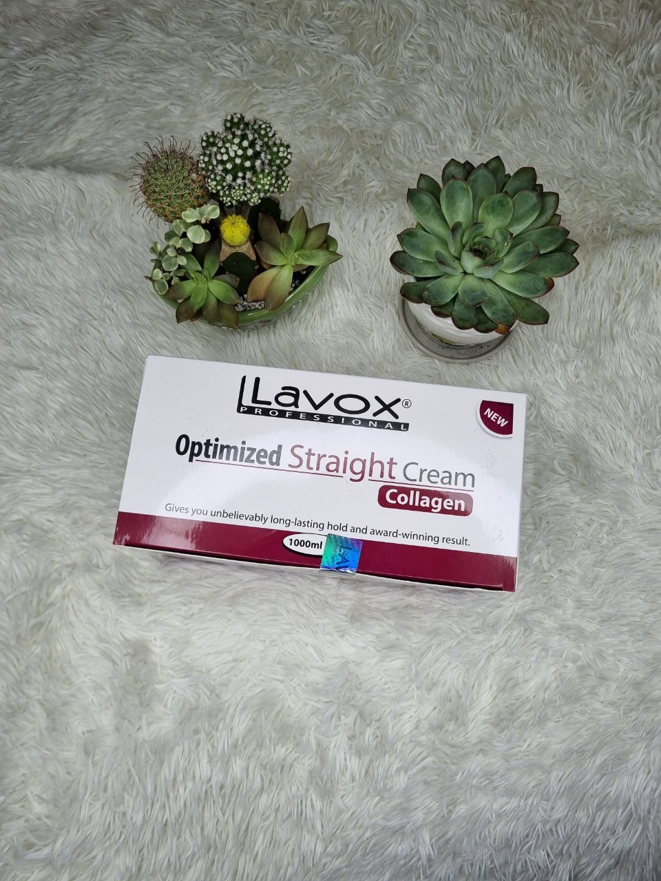 Duỗi lavox tím
