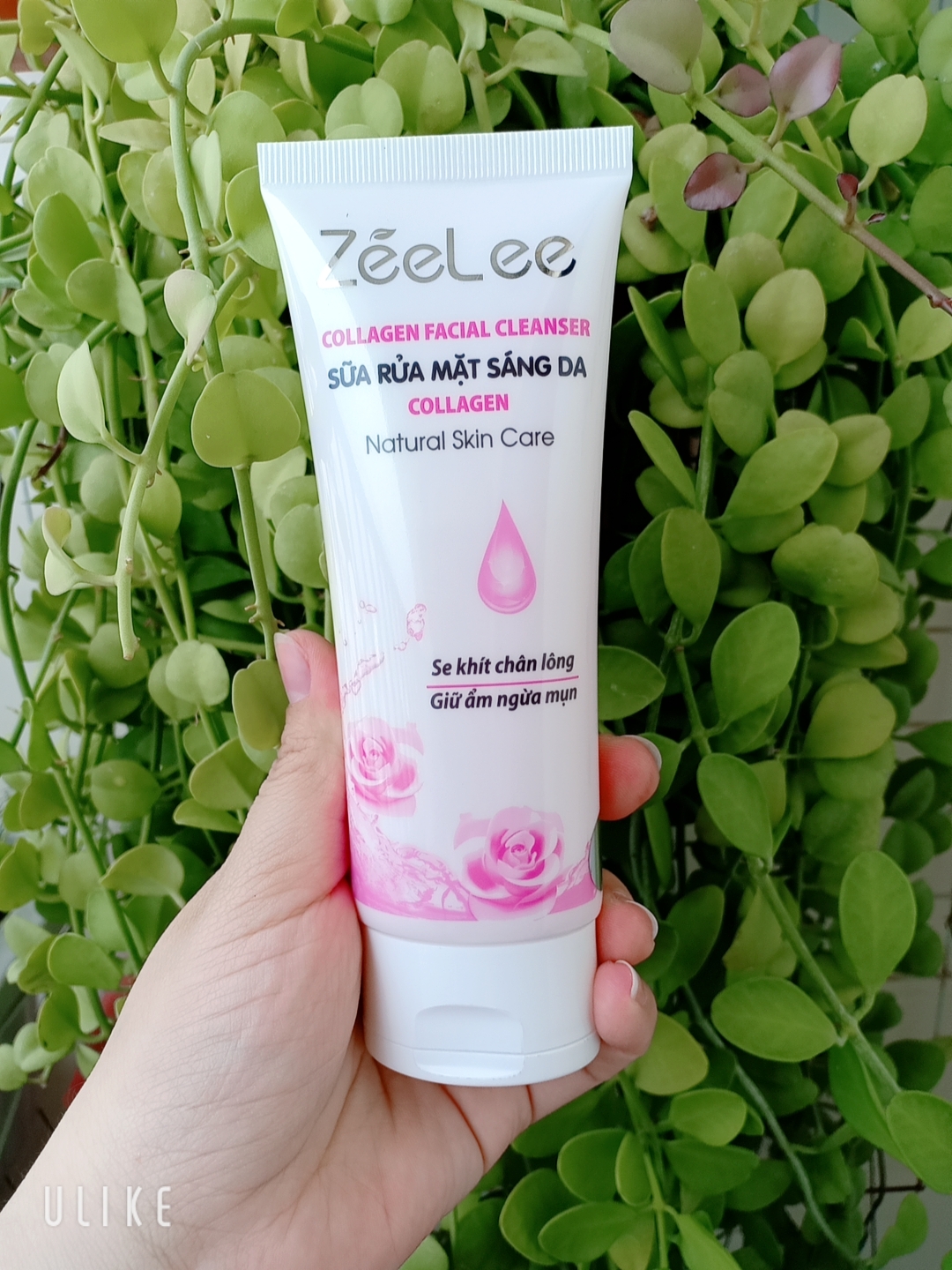 [HCM]Sữa rửa mặt sáng da, giữ ẩm Collagen Zeelee 100ml E18
