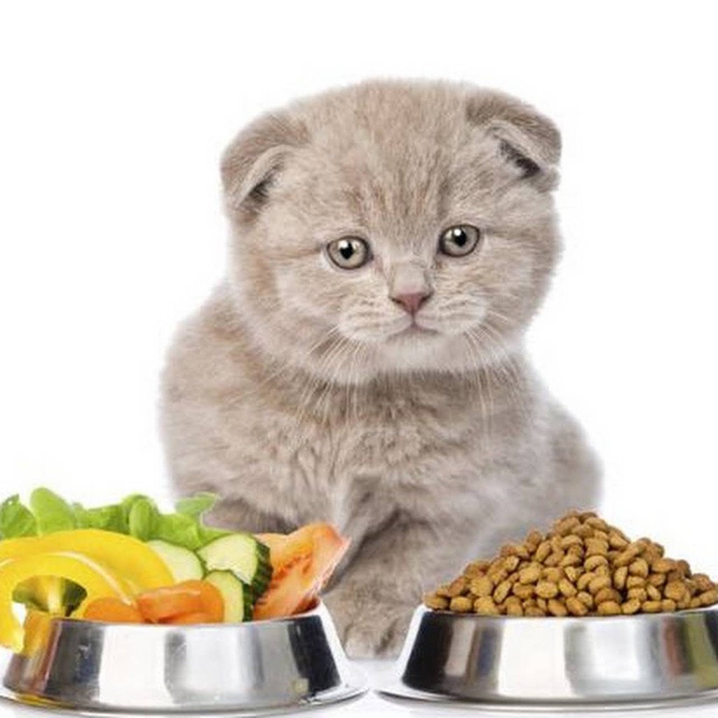 Thức Ăn Cho Mèo Catsrang - 5Kg