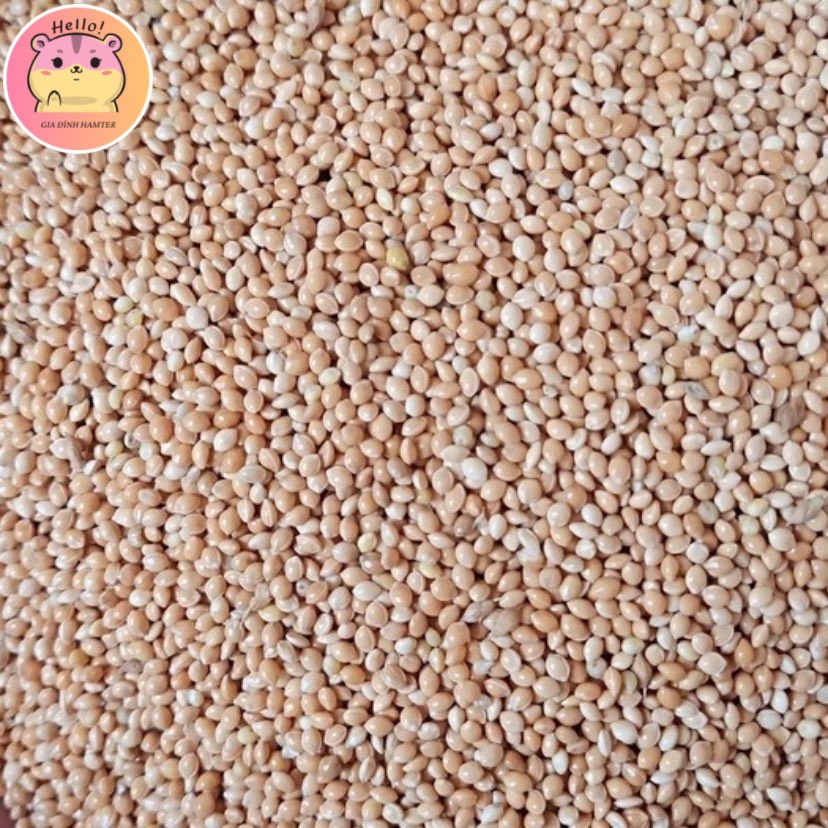 Hạt Kê Lọ 100g Thức ăn cho Hamster - Gia đình hamter