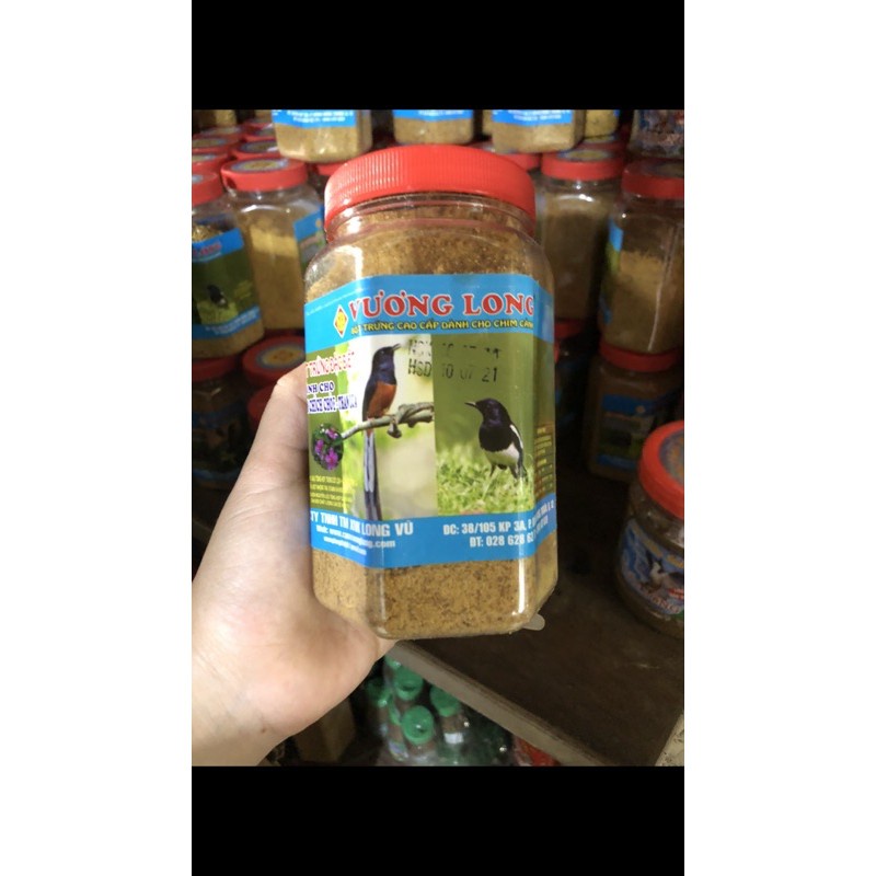 Cám Vương Long chào mào( số 1, số 2)