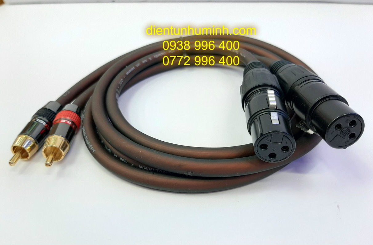 Cặp Dây  Jack  Canon Cái  ra  AV  1m Đồng