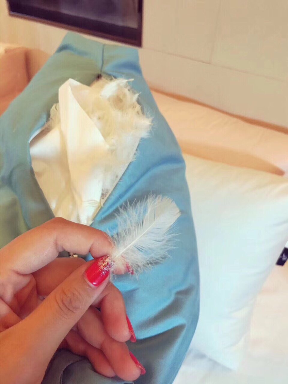 Gối lông vũ thật