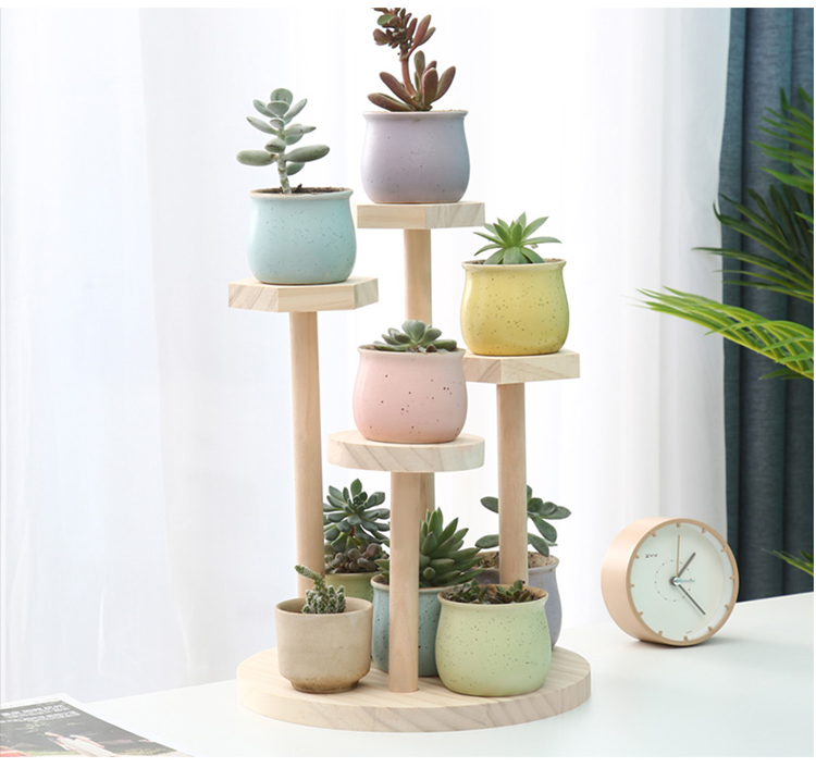 Kệ Decor Bàn Làm Việc APF Gỗ Thông
