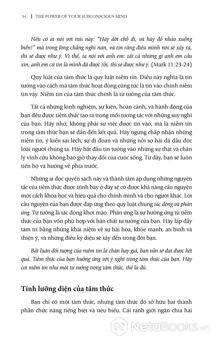 NetaBooks - Sức Mạnh Của Sự Trầm Lắng
