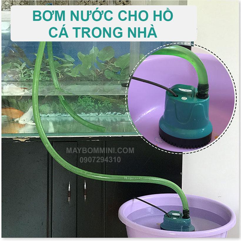 Máy Bơm Chìm Hồ Cá Hòn Non Bộ 220V 1000L EB-A1000