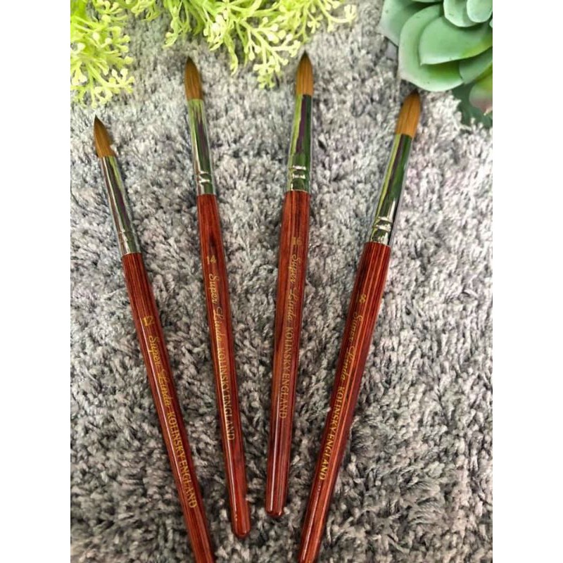 Cọ đắp bột số 12 14 16 - sinailmi