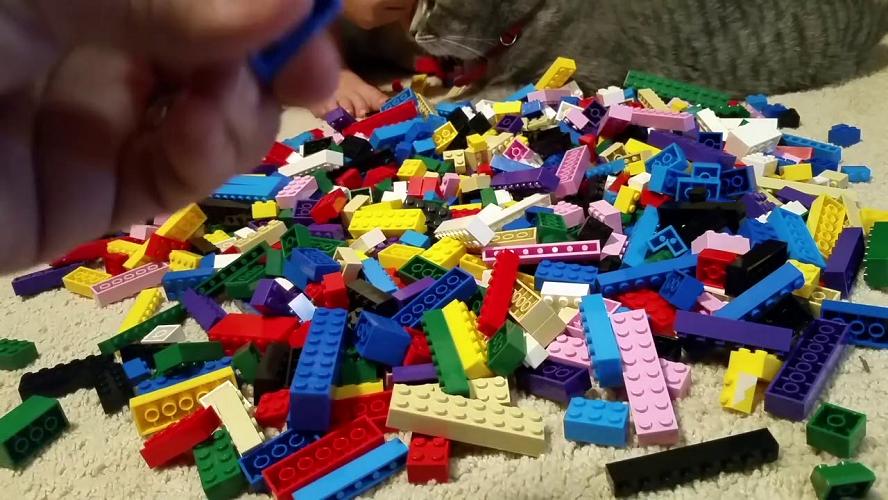 Bộ xếp hình Lego 1000 PSC
