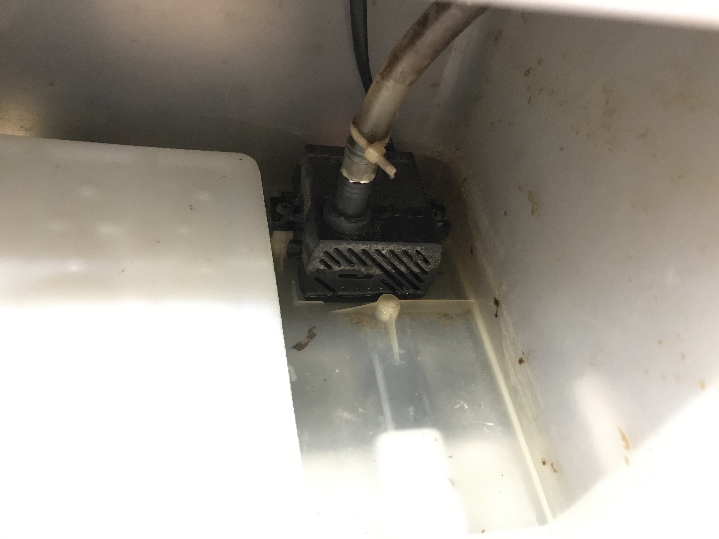 Motor bơm quạt hơi nước 0.75 m - 5 W