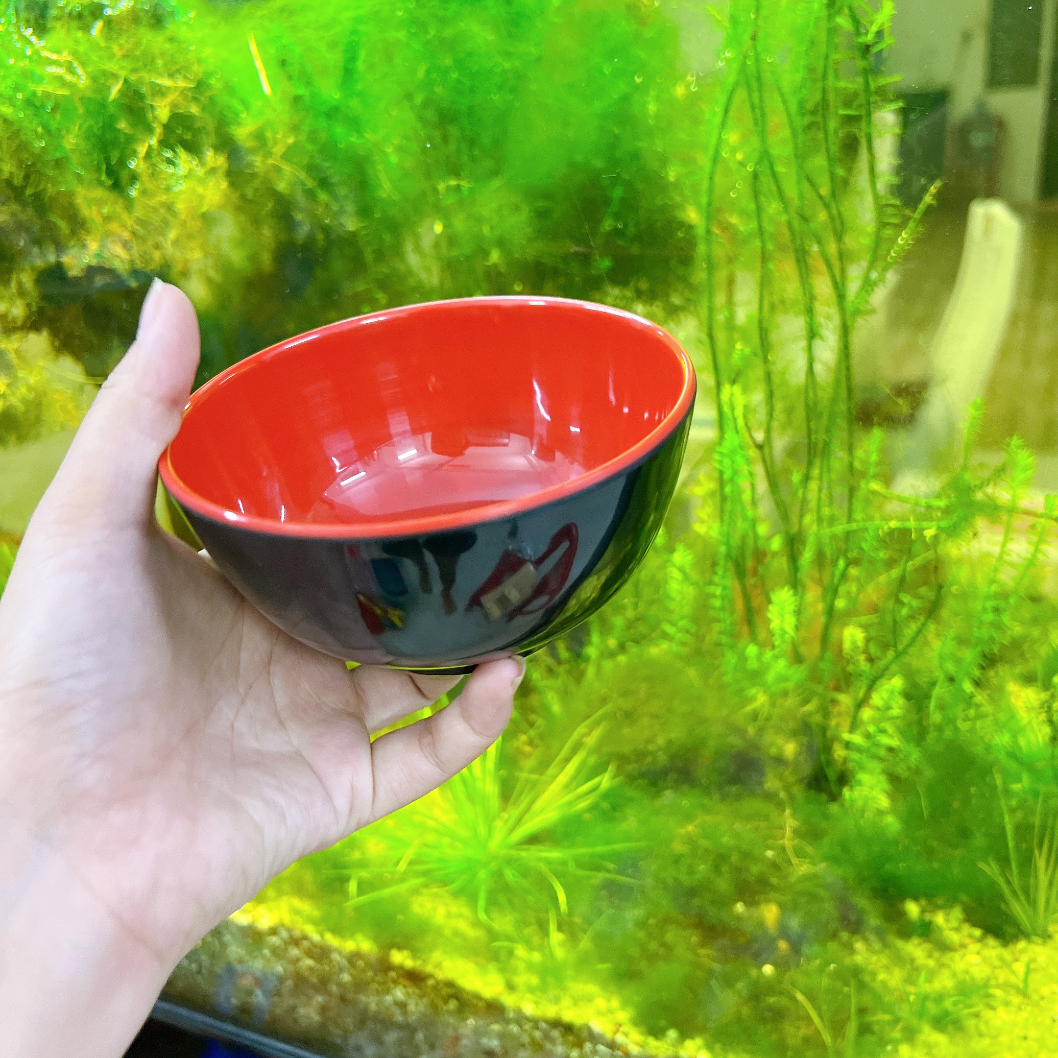 COMBO 10 Chén Nhựa Melamine Hai Lớp Đỏ Đen FATACO CAO CẤP