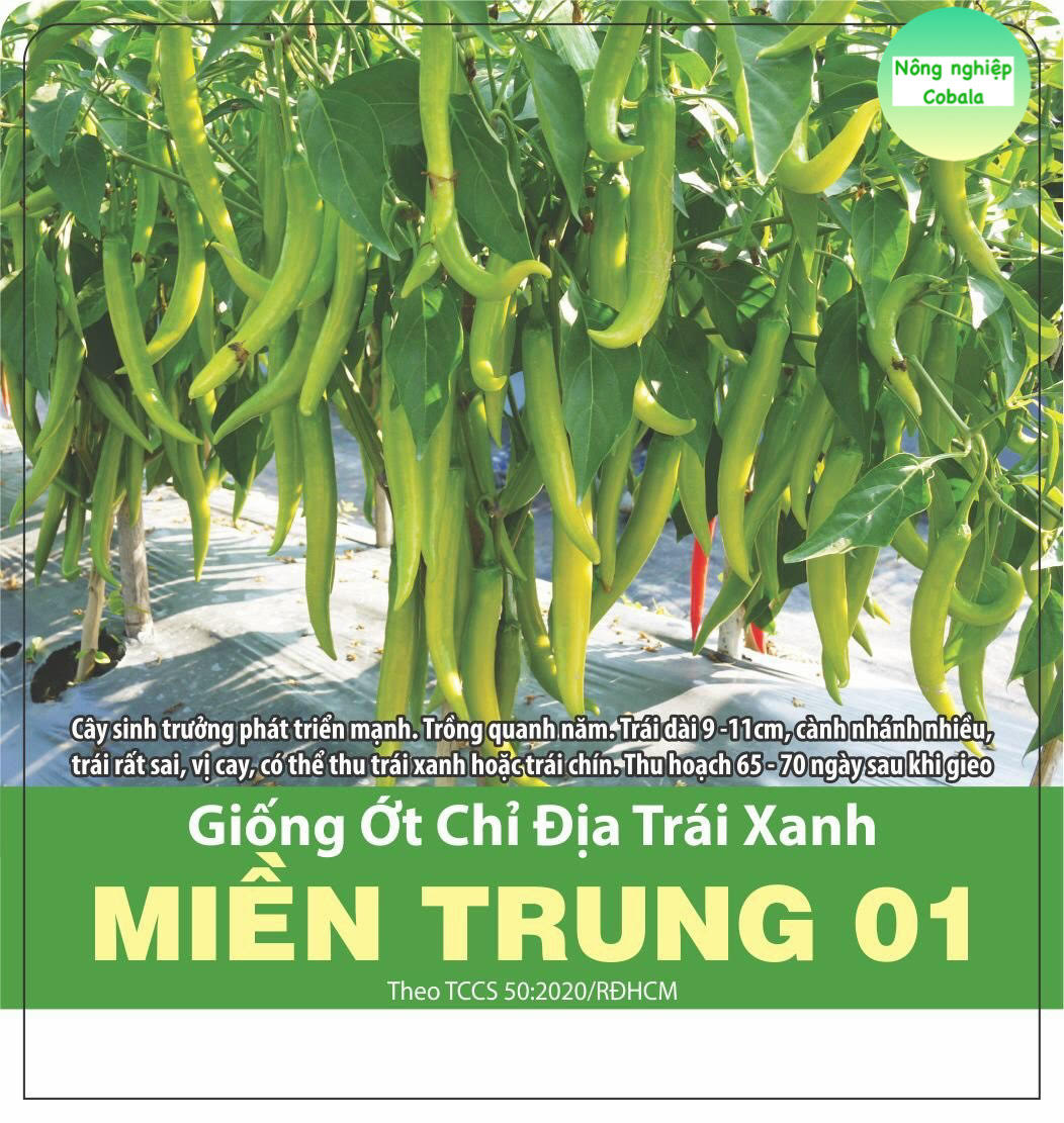 Hạt Giống Ớt Chỉ Địa Xanh (0.1gr)