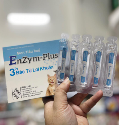Men tiêu hoá Enzym Plus cho cún và mèo