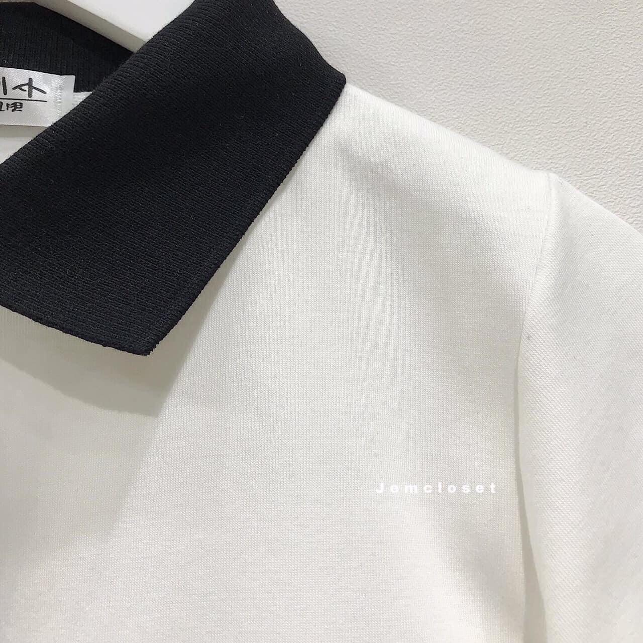 ÁO CROPTOP PETTER PHỐI CỔ