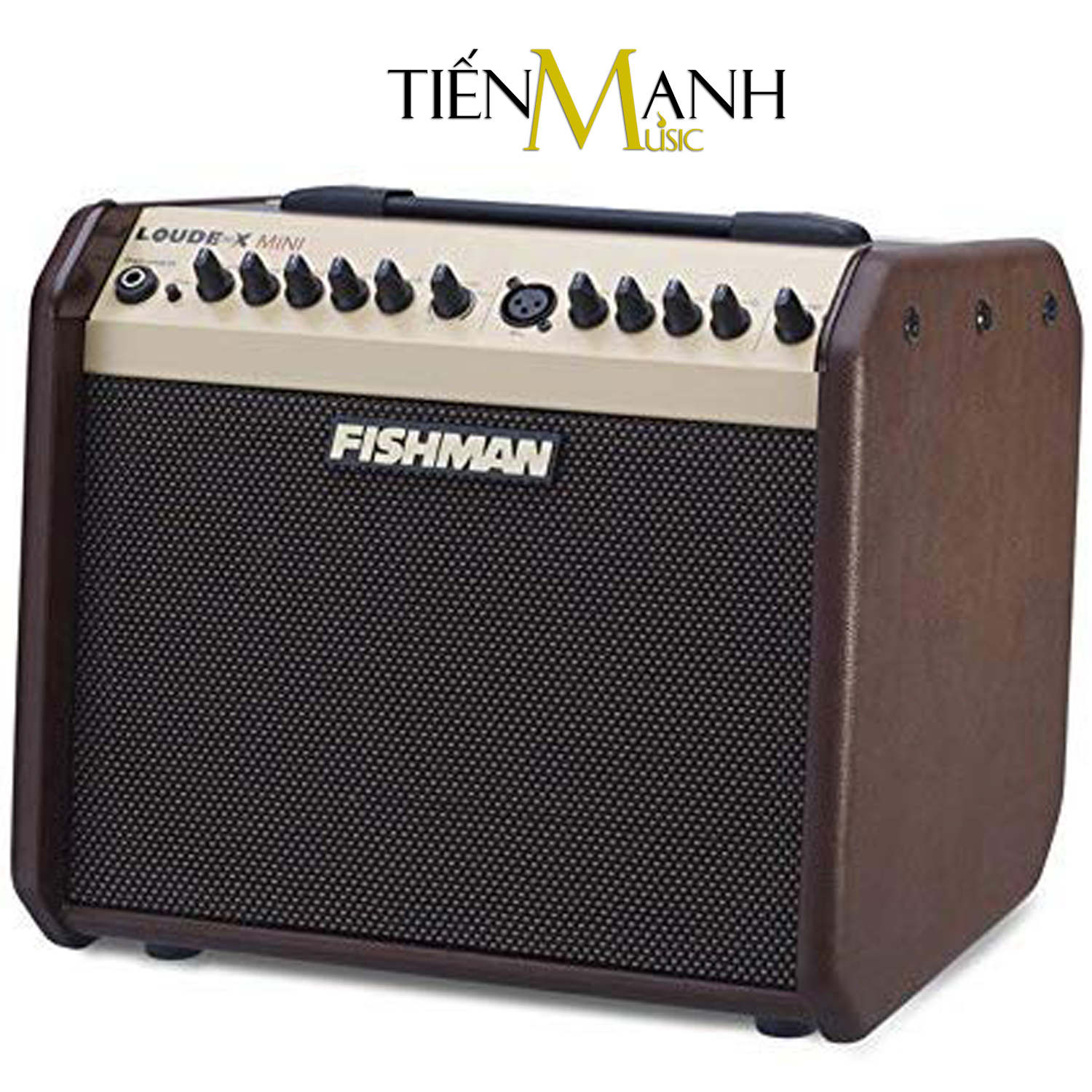 [Trả góp 0%] [Bluetooth] Fishman Loudbox Mini 60W Instrument Amplifier - Ampli cho Đàn Guitar & Nhạc cụ mộc Acoustic