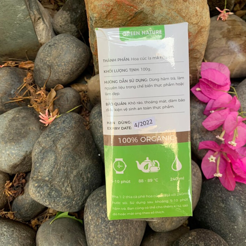 Hoa cúc nguyên bông green nature