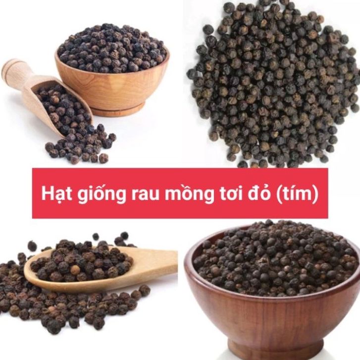 Hạt giống rau mồng tơi tím thái lan -gói1 gram(tặng kèm phân bón)