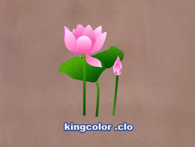 LOTUS FLOWER