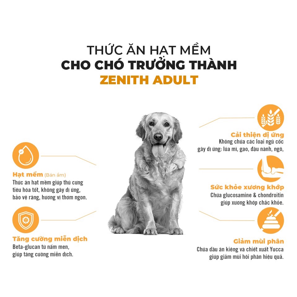 Hạt Mềm Zenith Adult Cho Chó Lớn