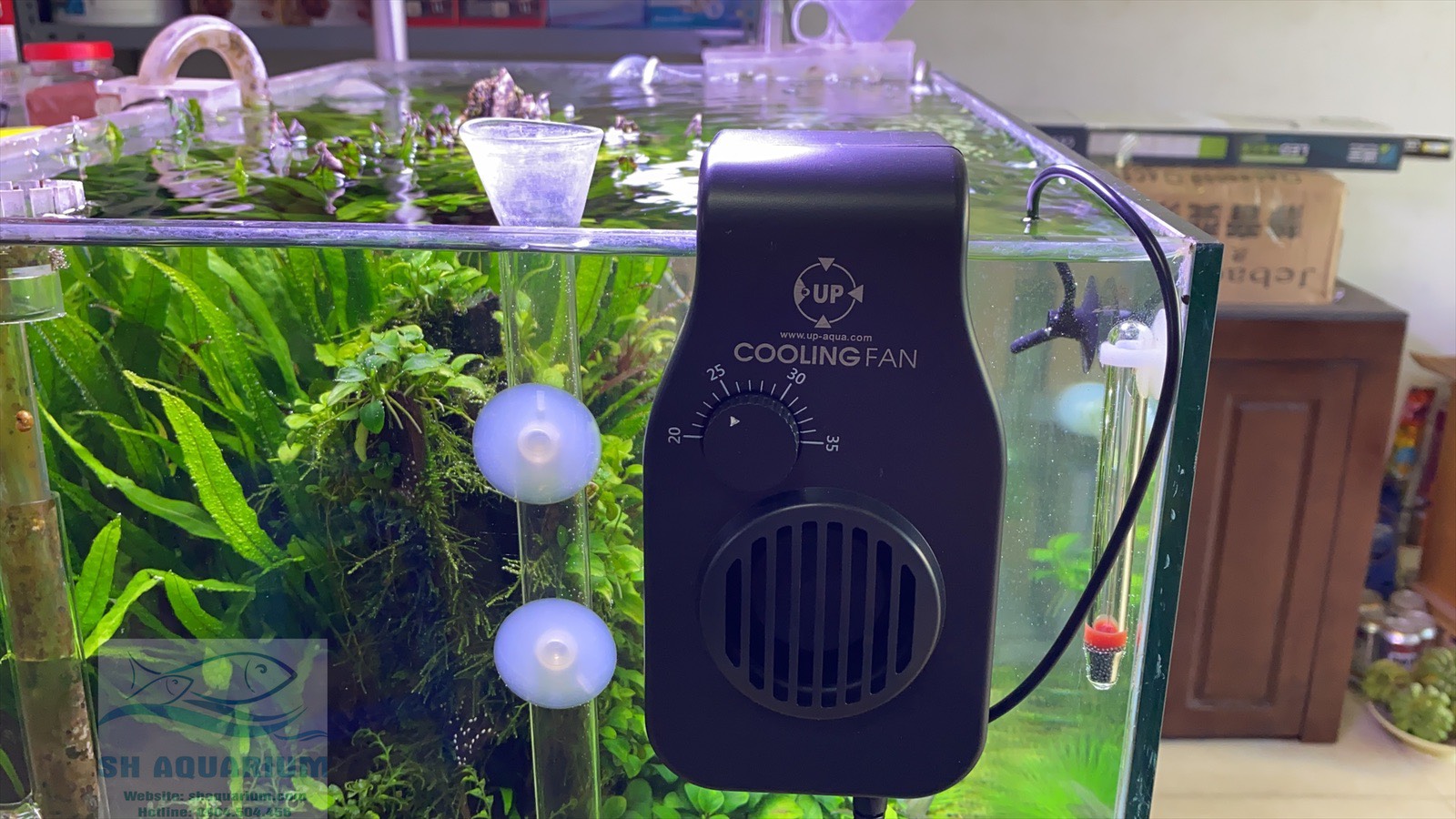[HOÀN TIỀN 10%]QUẠT LÀM MÁT UP AQUA CÓ ĐẦU DÒ NHIỆT