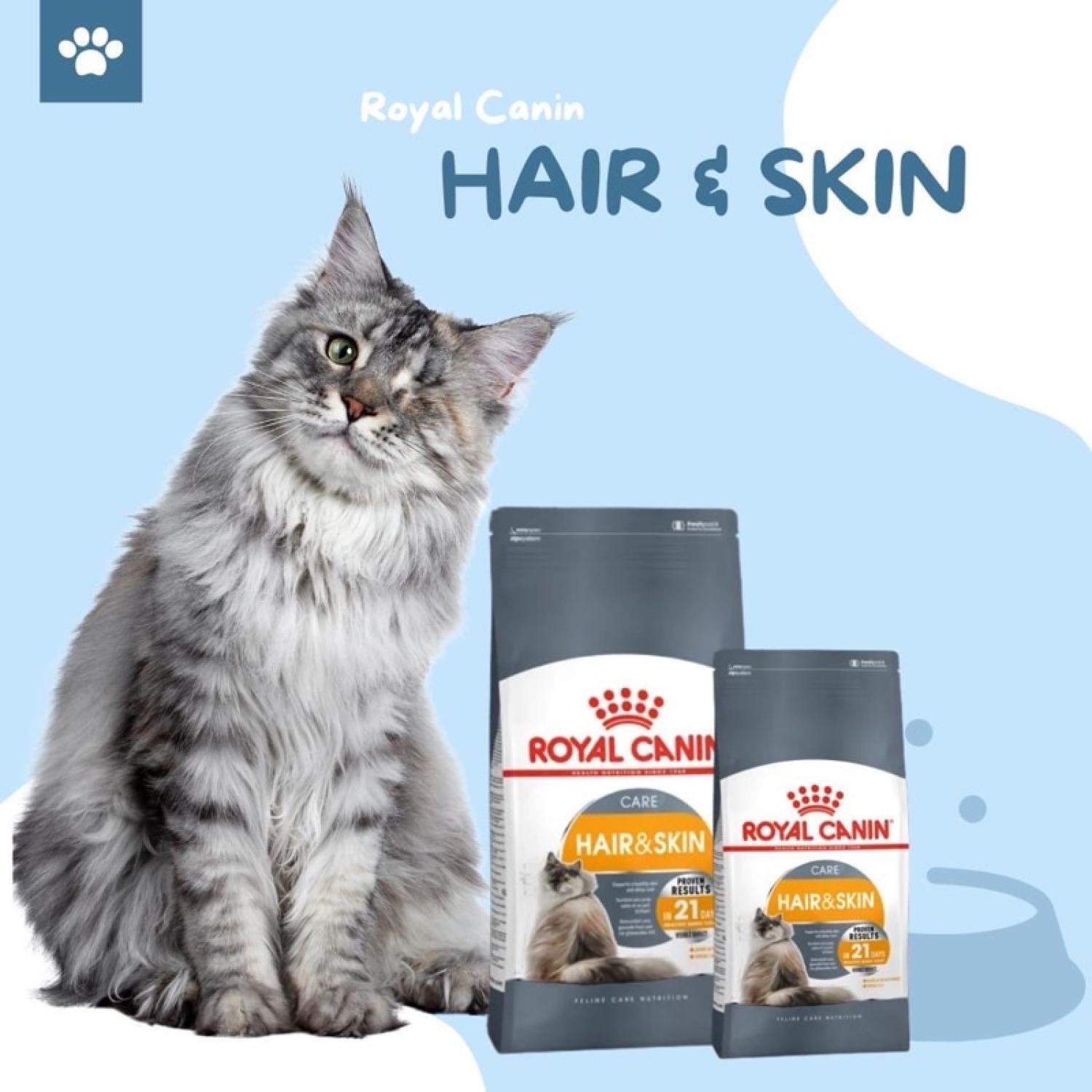 Hạt royal canin hair skin care - chăm sóc lông và da cho mèo - 2kg - ảnh sản phẩm 1