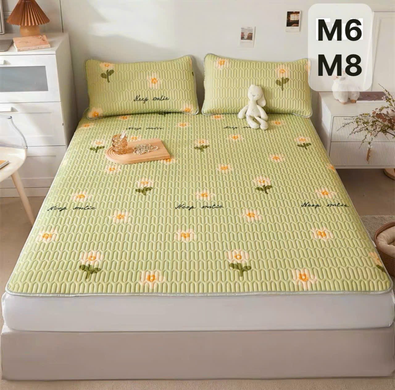 Chiếu điều hòa cao su non 1m6 tặng kèm 2 vỏ áo gối