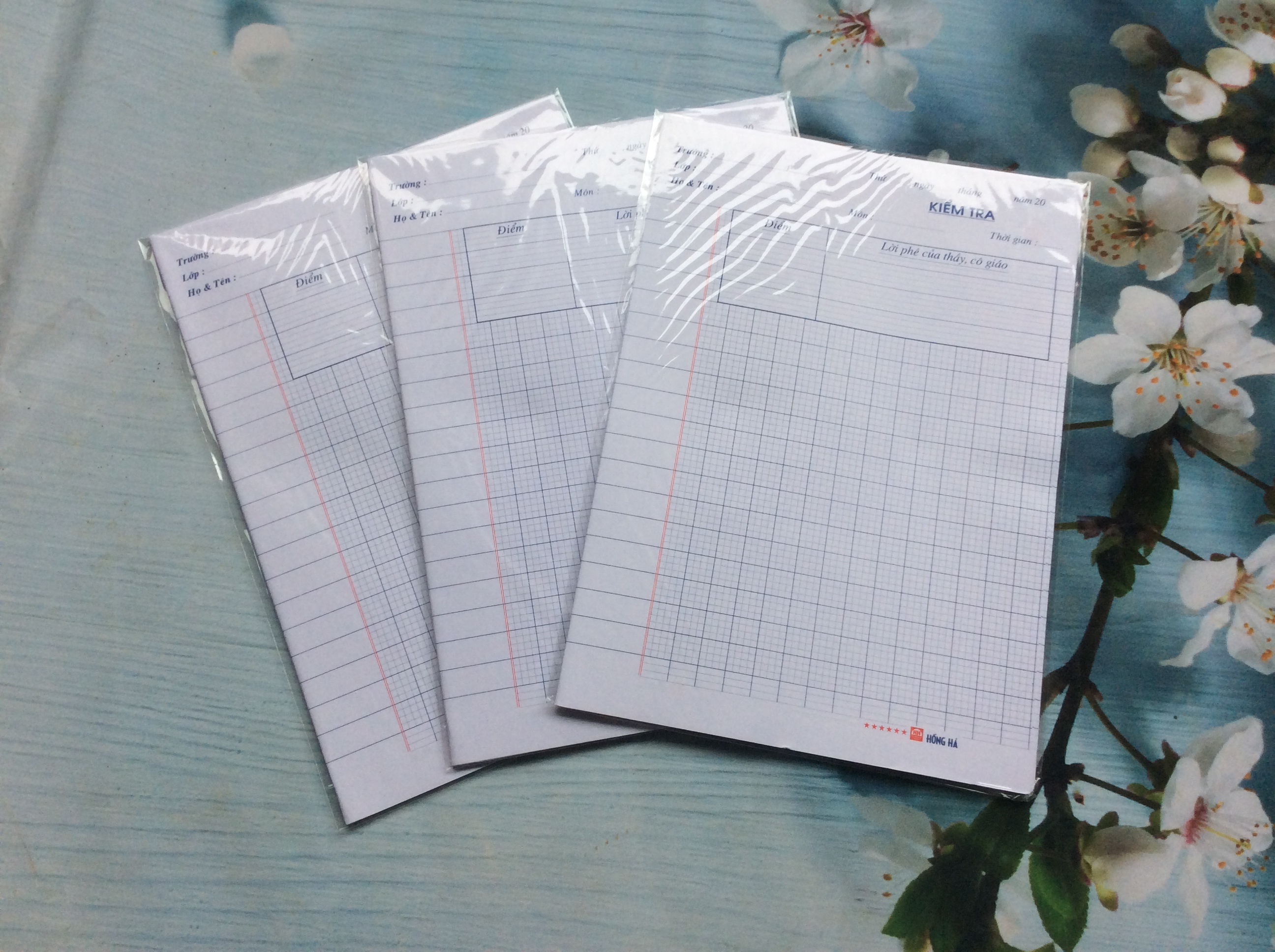 1 Túi Giấy kiểm tra cấp 1,cấp 2 HH ( 1 Túi = 10 Tập )