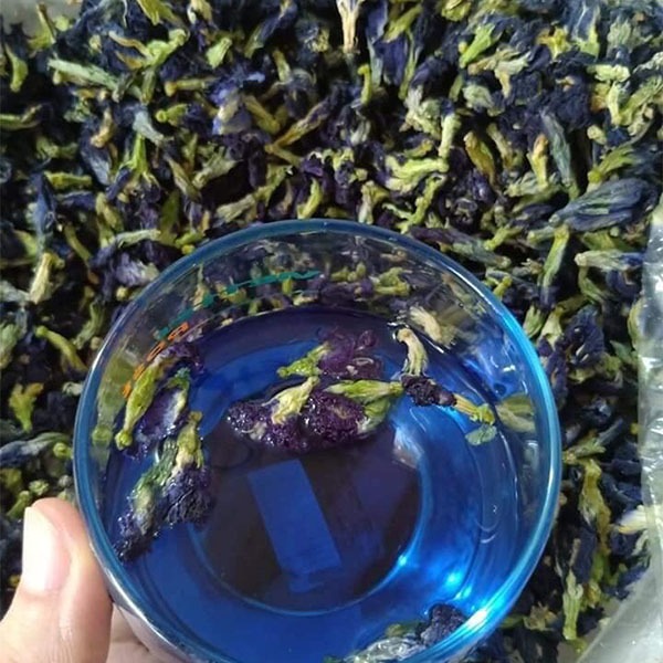 Hoa đậu biếc sấy khô