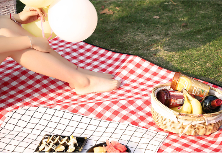 Thảm đi dã ngoại, Picnic Hàn Quốc