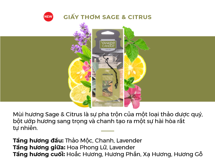 Giấy Thơm Xe Yankee Candle - Sage & Citrus