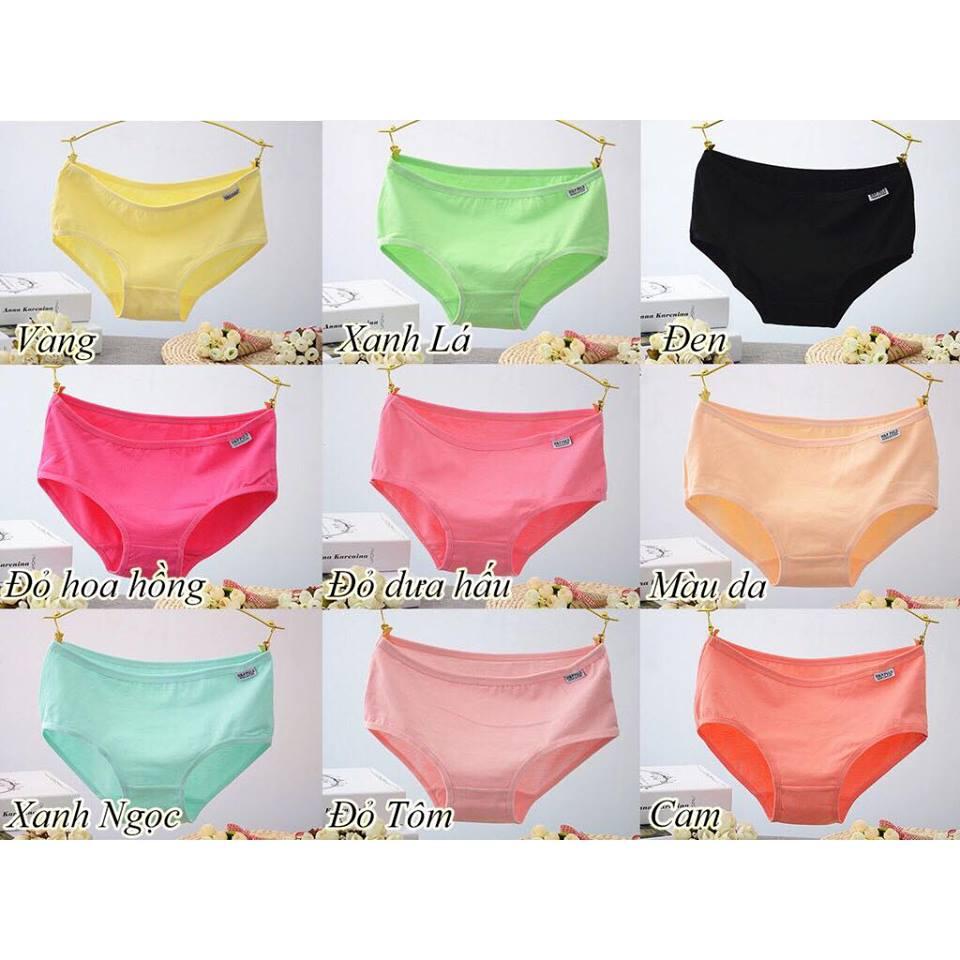 Combo 5 quần lót cotton nữ Pulo